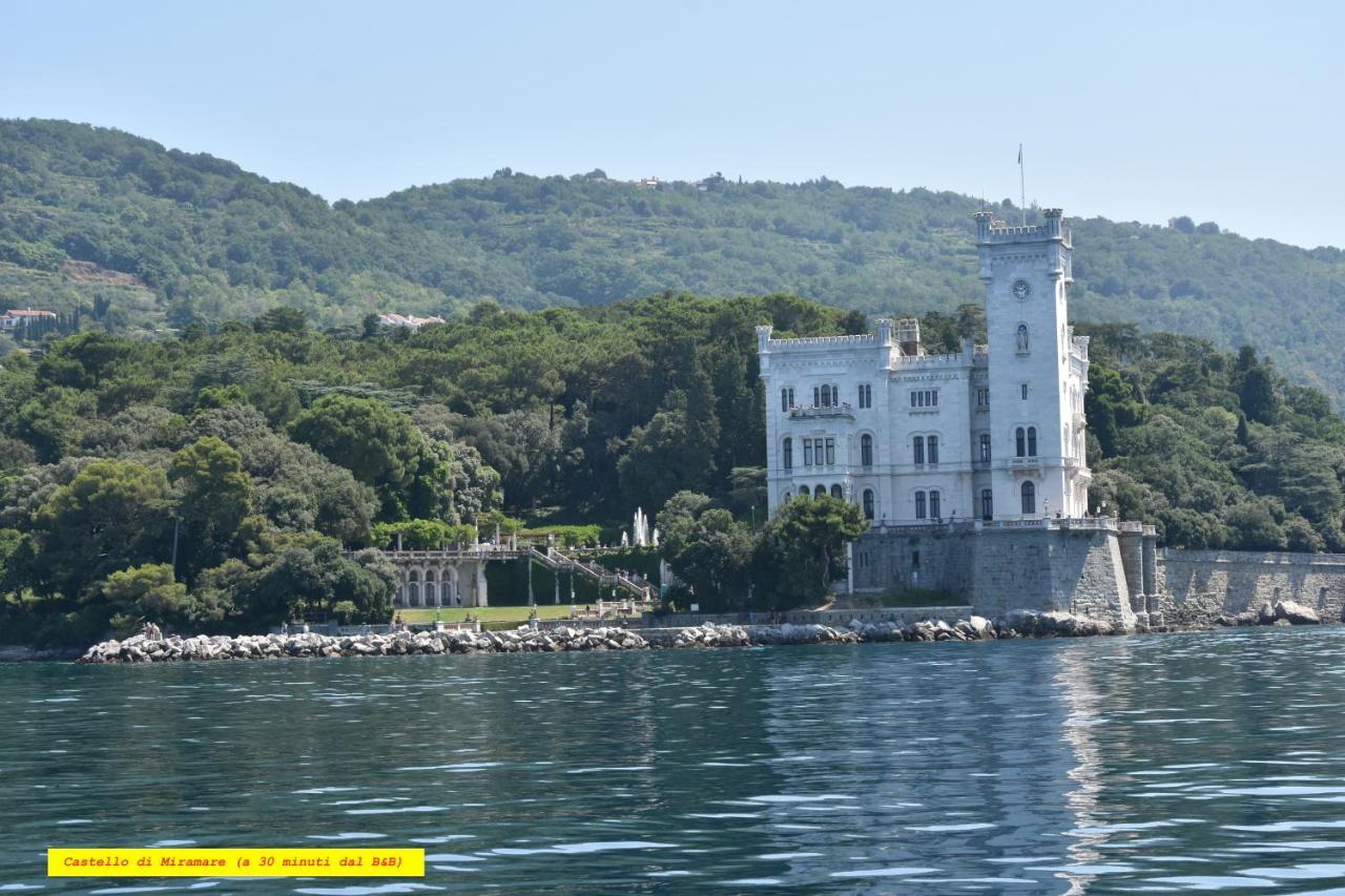 Bed and Breakfast Al Vecchio Glicine Gábria Zewnętrze zdjęcie