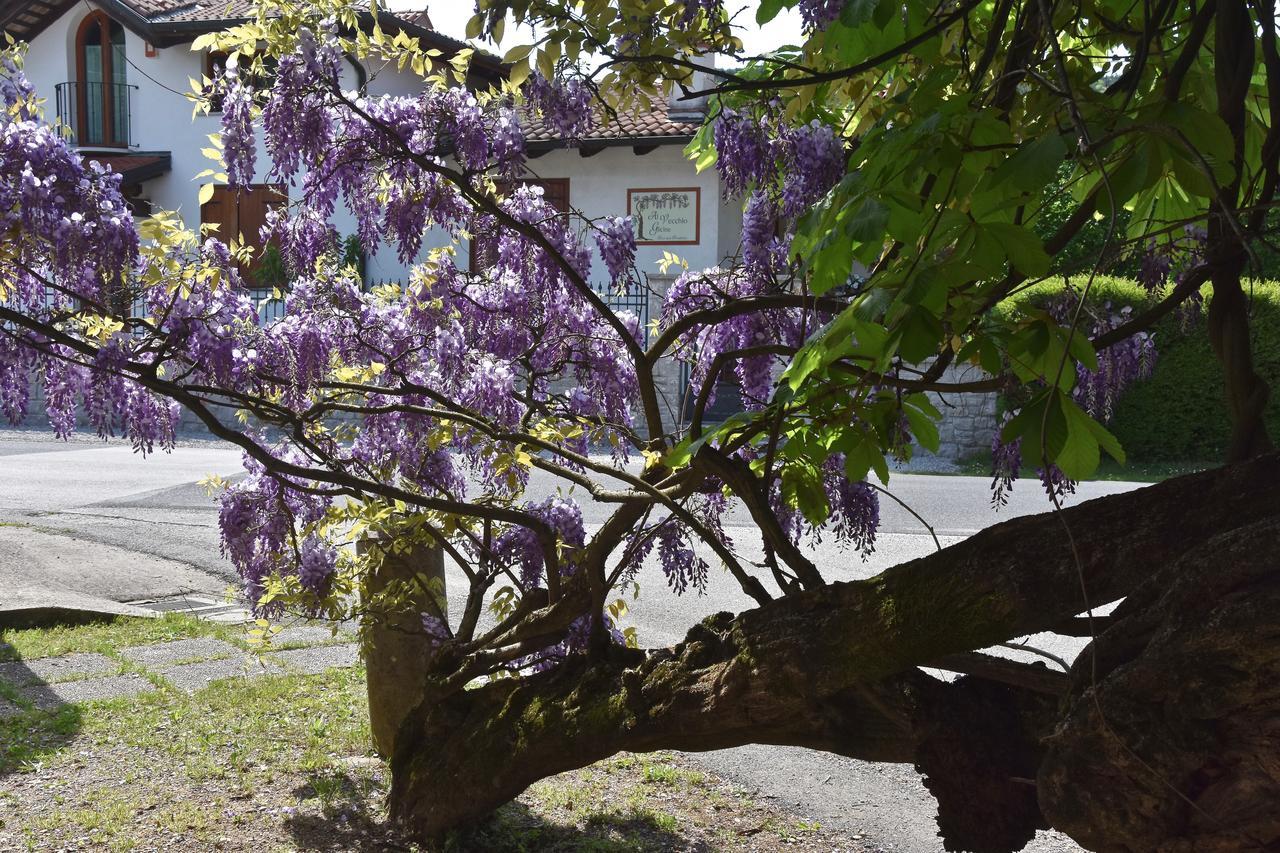 Bed and Breakfast Al Vecchio Glicine Gábria Zewnętrze zdjęcie